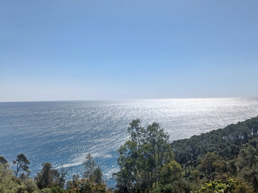 Jardi Botanic de Cap Roig-Calella de Palafrugell必去景点