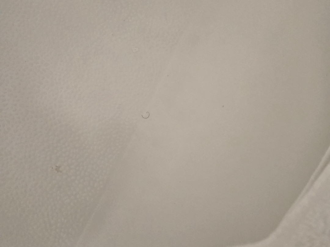 希尔顿欢朋酒店-哥伦布都柏林主图