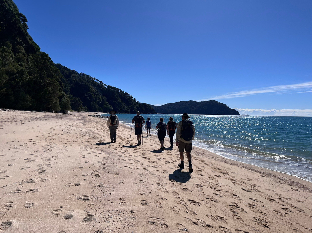 Wilsons Abel Tasman-Abel Tasman National Park必去景点