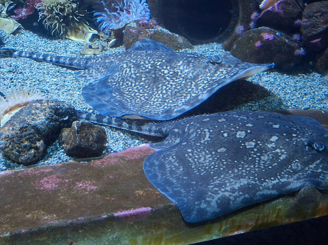 Bergen Aquarium-卑尔根必去景点