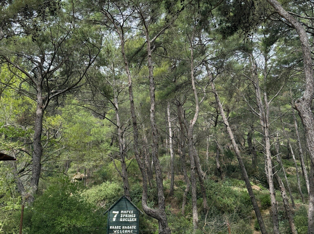 Seven Springs Tunnel-科林比亚必去景点