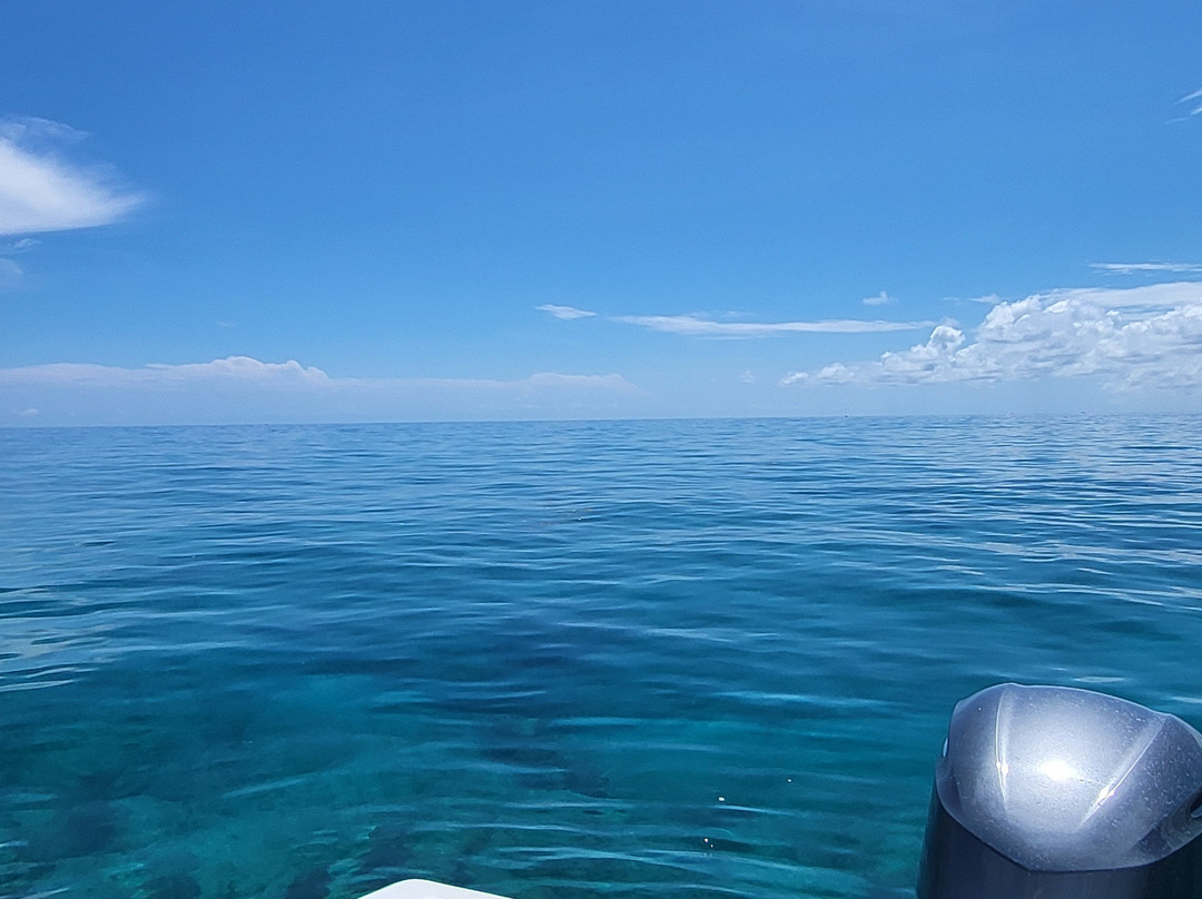 Fun In The Sun Key West-基韦斯特必去景点