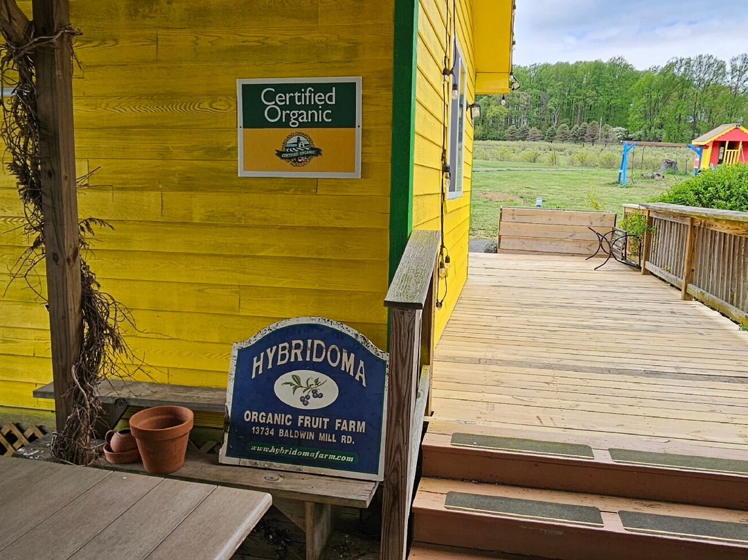 Hybridoma Organic Fruit Farm-Baldwin必去景点