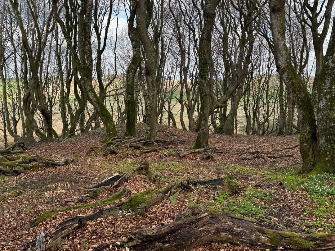 卡姆维尔克瑞比巴克酒店主图