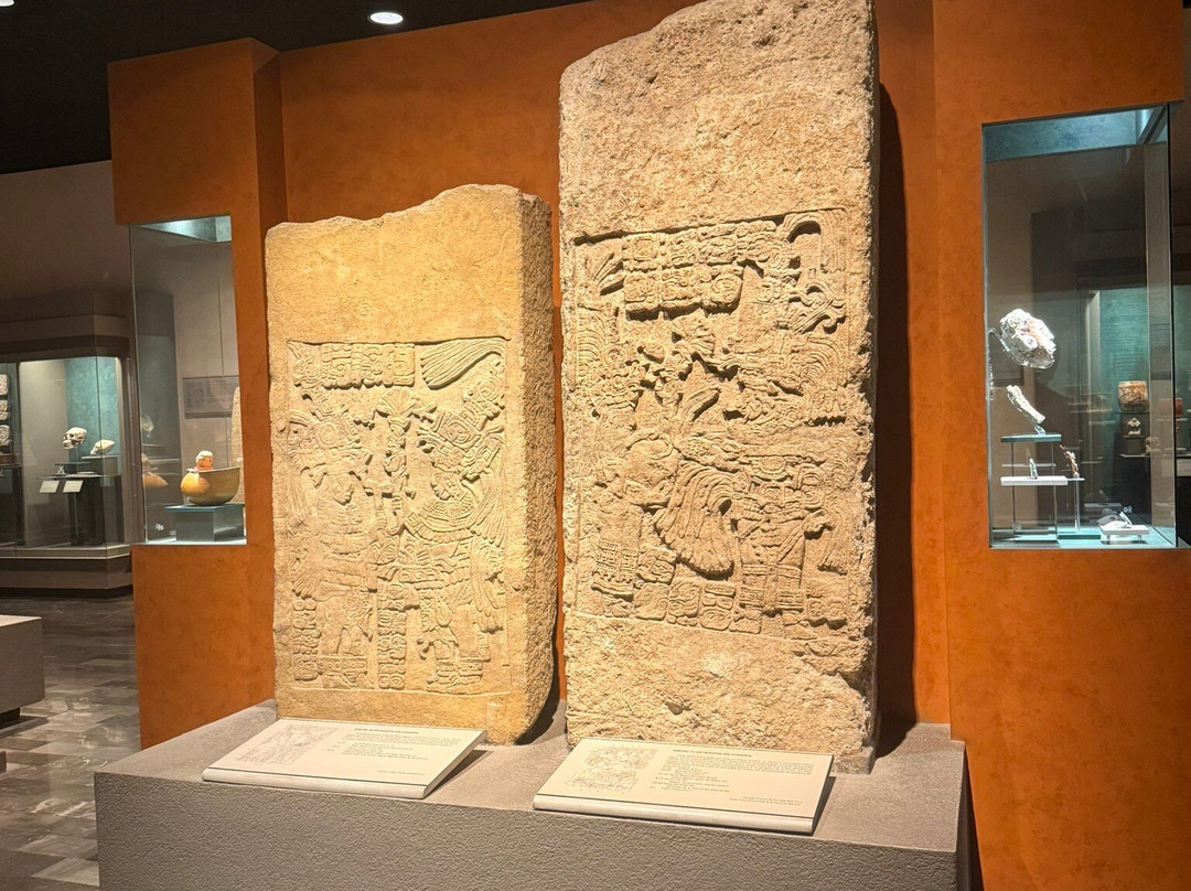国家人类学博物馆 (Museo Nacional de Antropologia)-墨西哥城必去景点