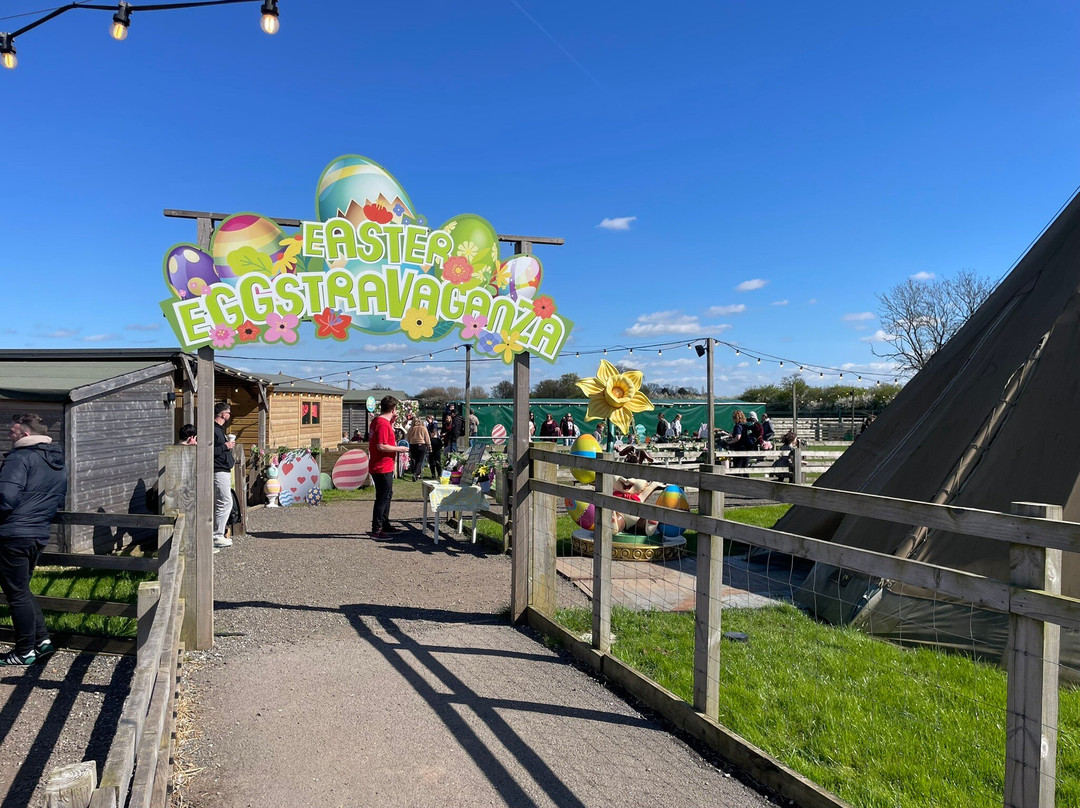 The Web Adventure Park-Wigginton必去景点