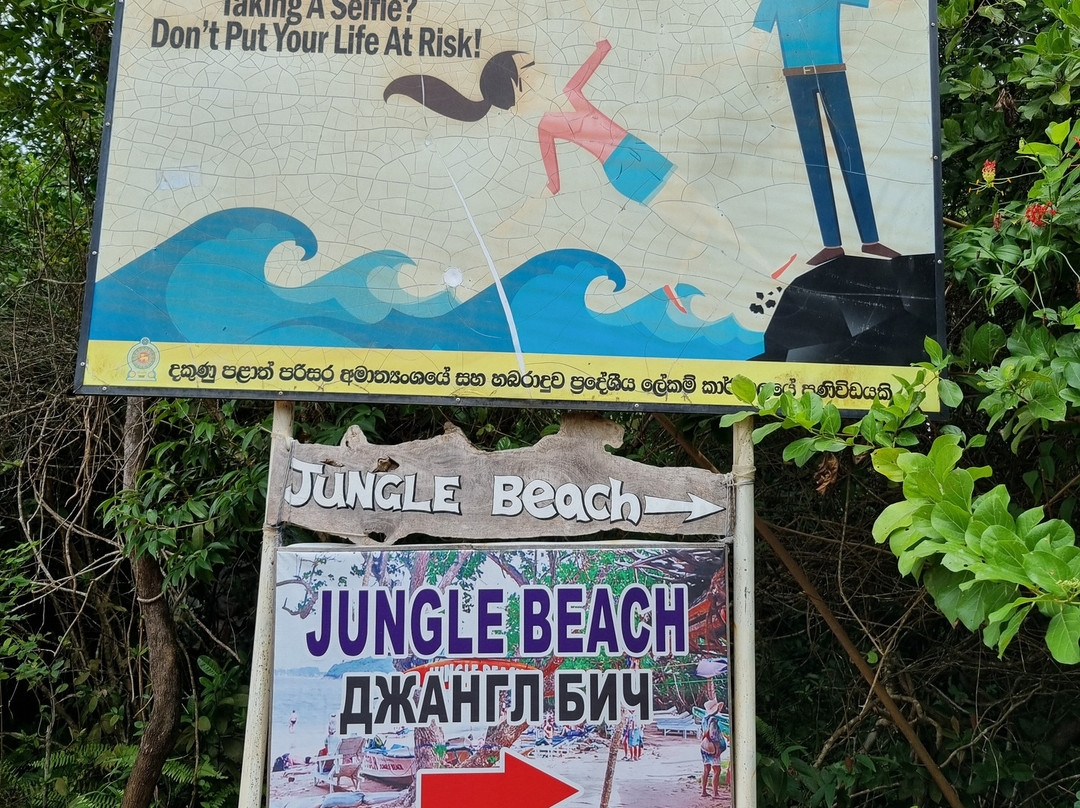 丛林海滩-乌纳瓦图纳必去景点