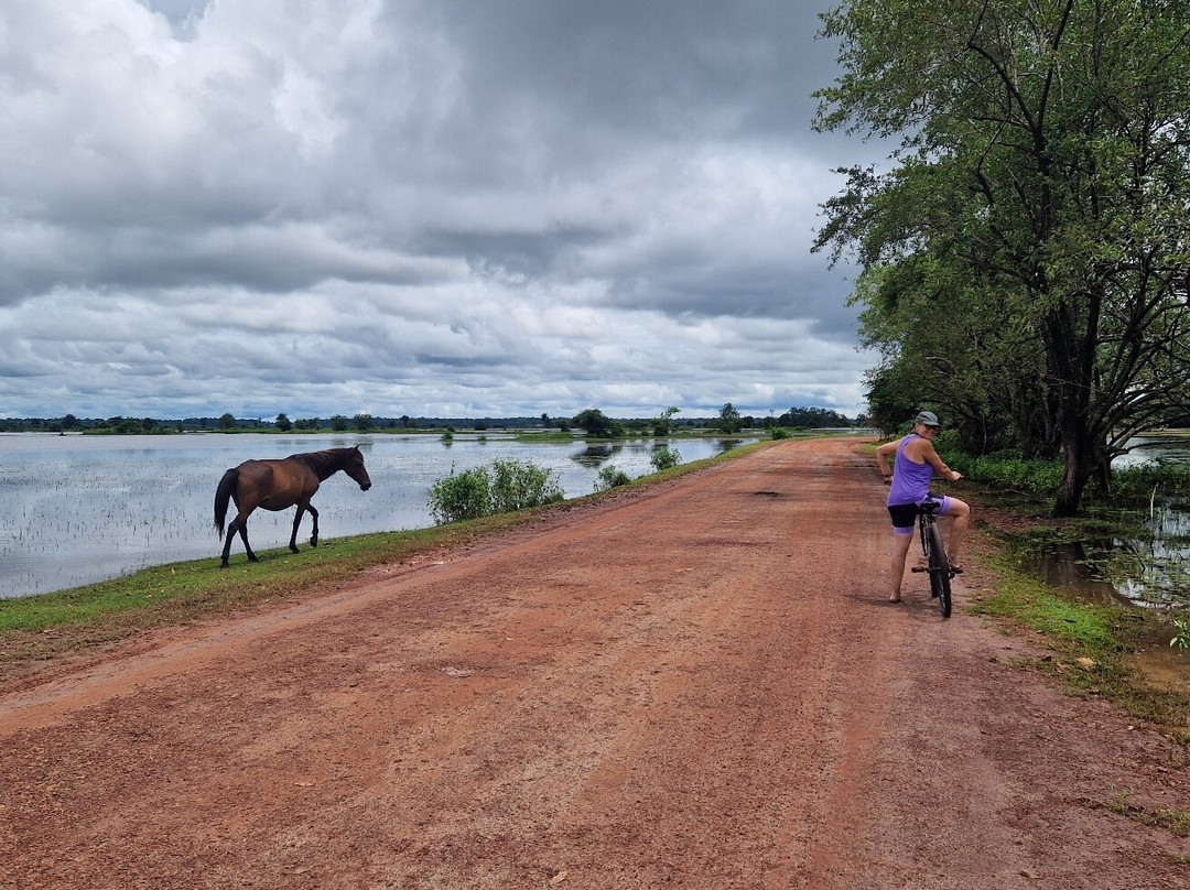 Bom Jesus Farm-Soure必去景点