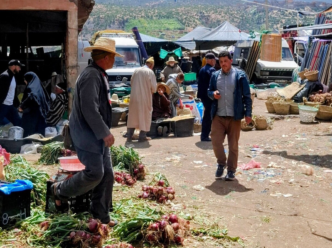 Marrakech Outdoor Trips-马拉喀什必去景点
