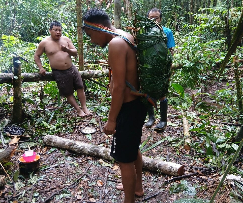 Green Wild Amazon Expedition-伊基托斯必去景点