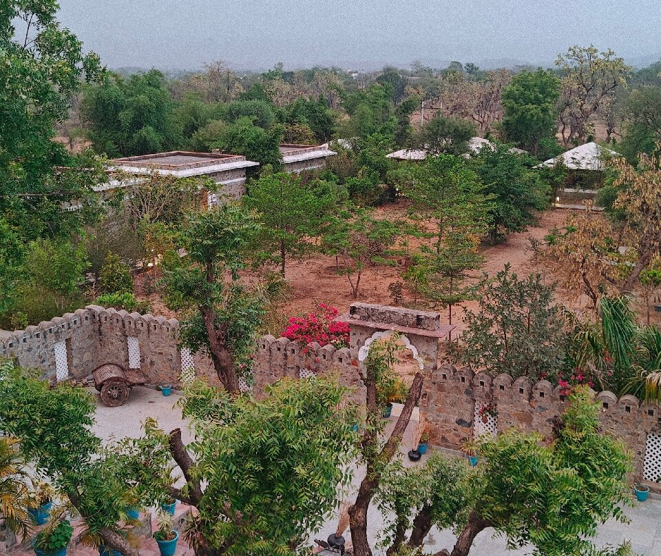 Kutani Bagh Sariska主图