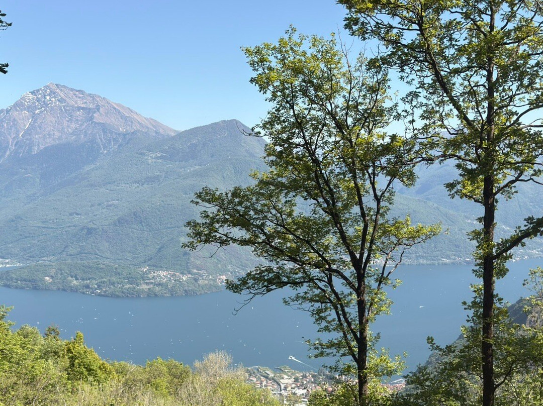 Lake Como Adventure Park-格拉韦多纳必去景点