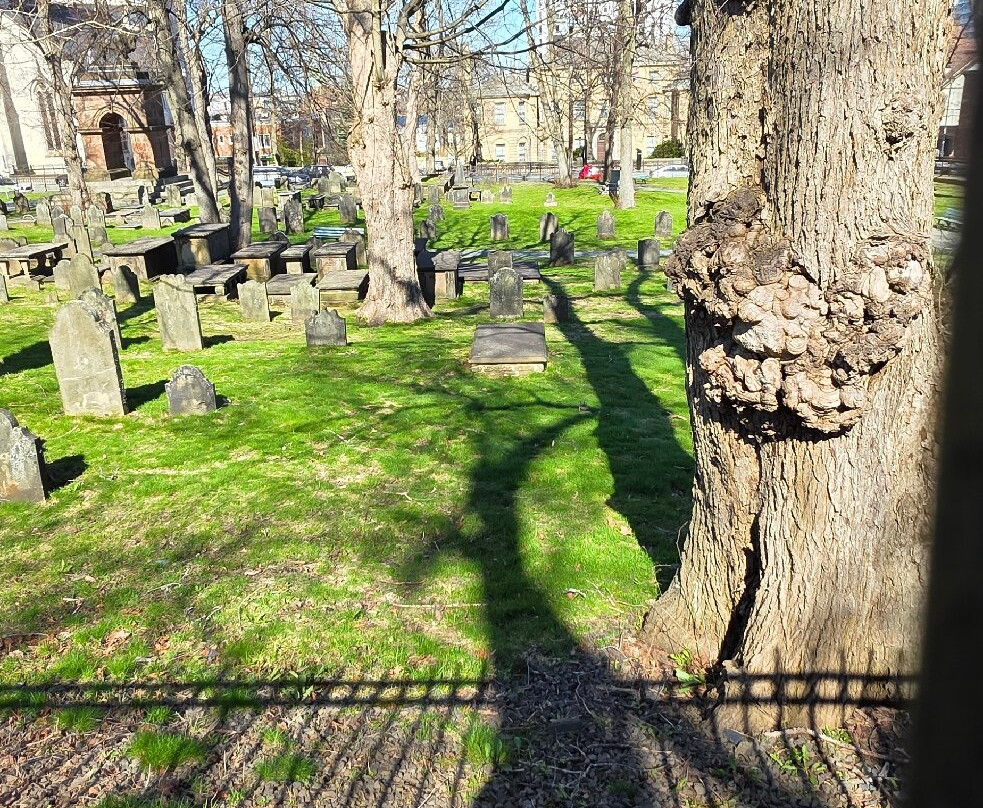Old Burying Ground-哈利法克斯必去景点