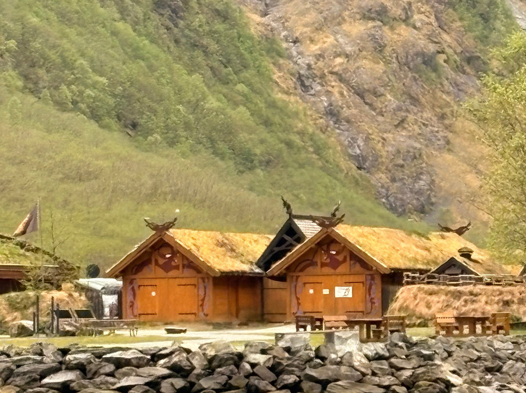 FjordSafari-弗洛姆必去景点