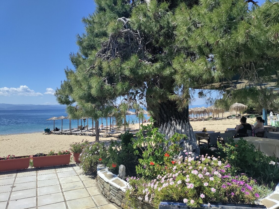 Troulos Beach-Troulos必去景点