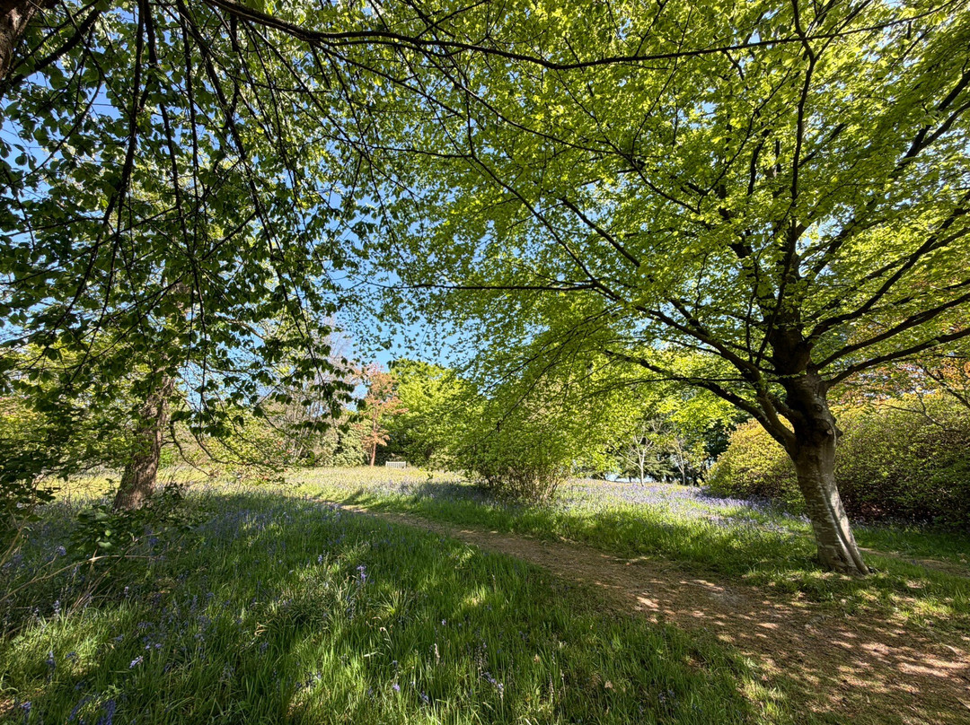 Emmetts Garden-Sevenoaks必去景点