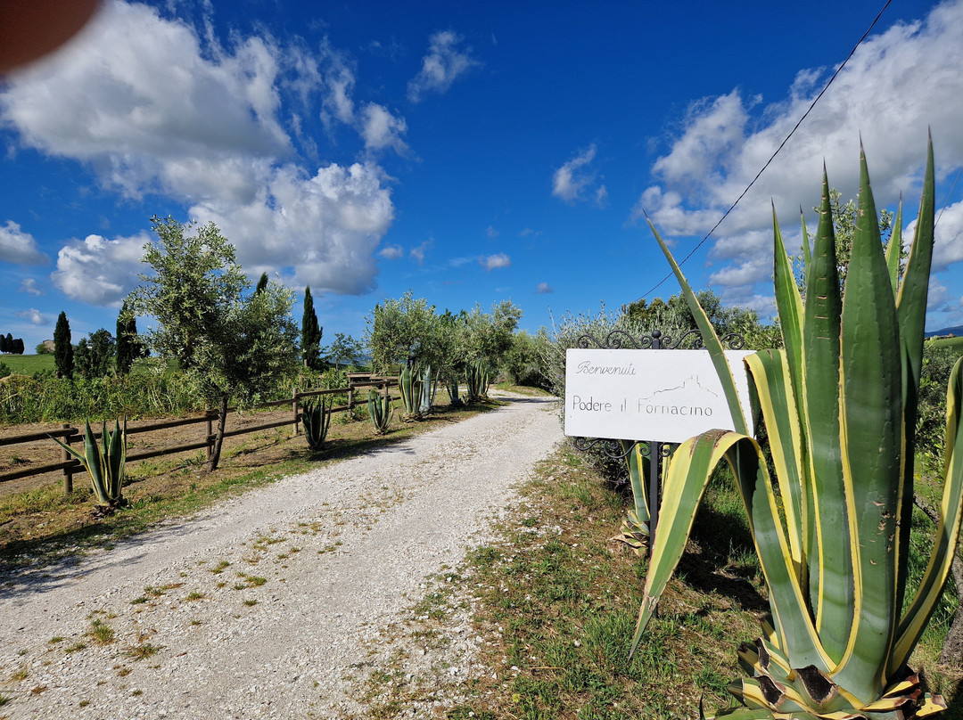 Agriturismo Podere Il Fornacino主图