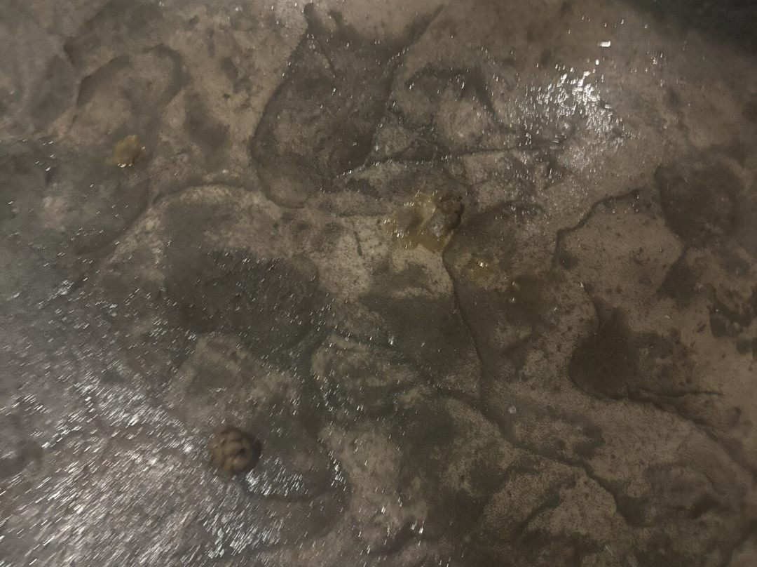 智选假日套房酒店詹克斯主图