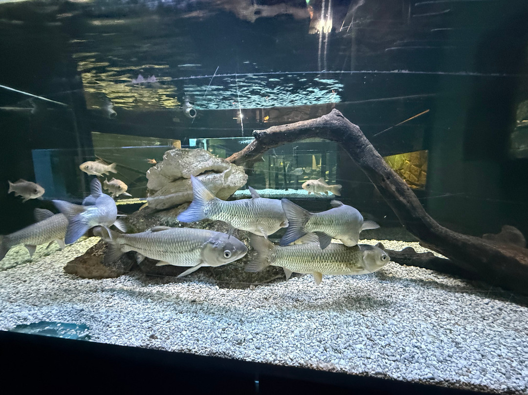 Aquarium Terrarium-克尔克必去景点