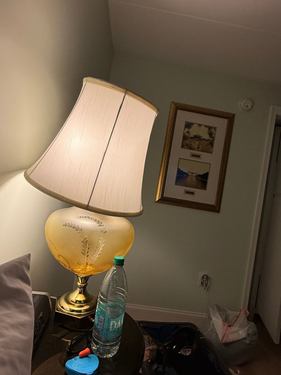 华盛顿北梅特罗珀恩茨酒店-旅行者