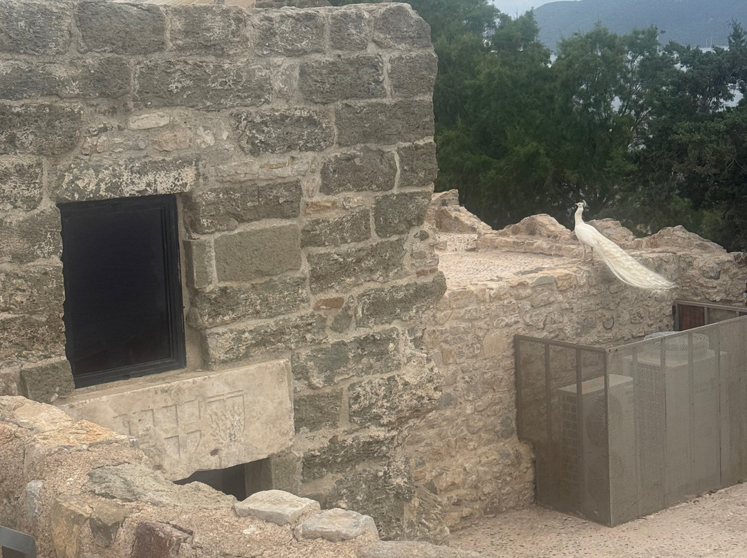 Bodrum Castle-博德鲁姆必去景点