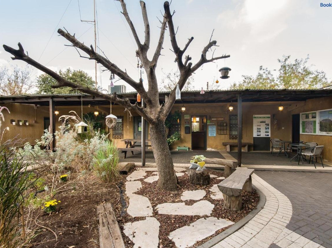 Spni Alon Tavor Field School