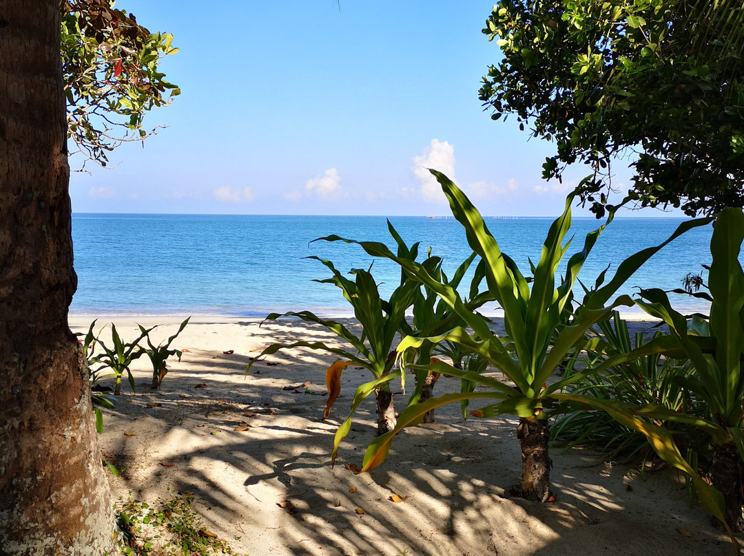 Palawan Ecolodge