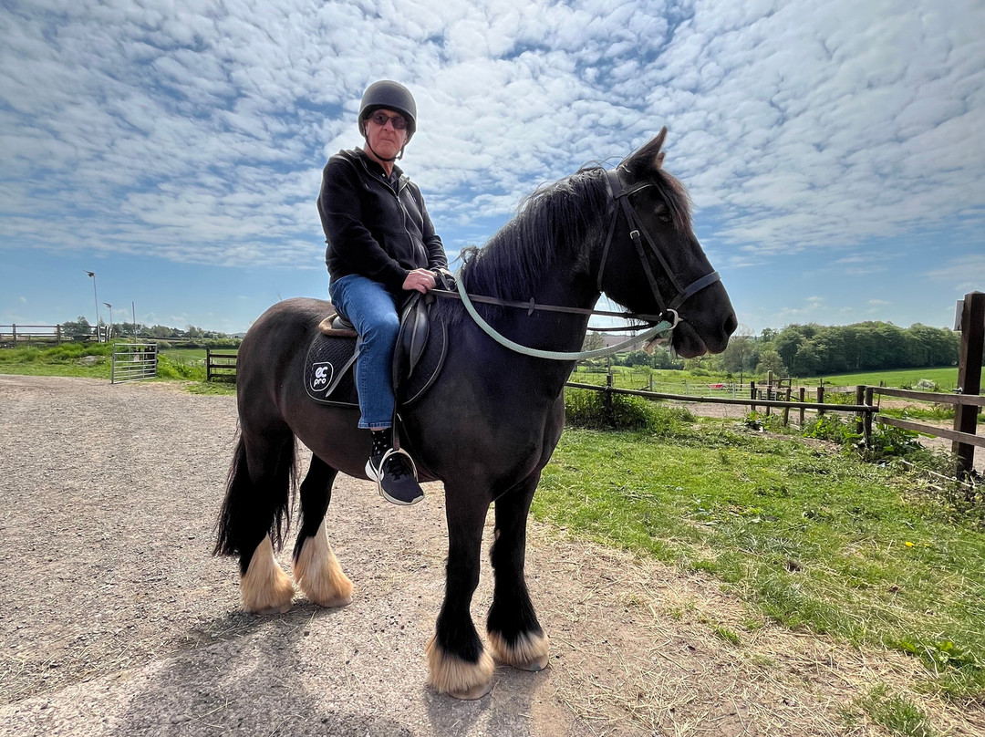 Charnwood Forest Alpacas-Boundary必去景点