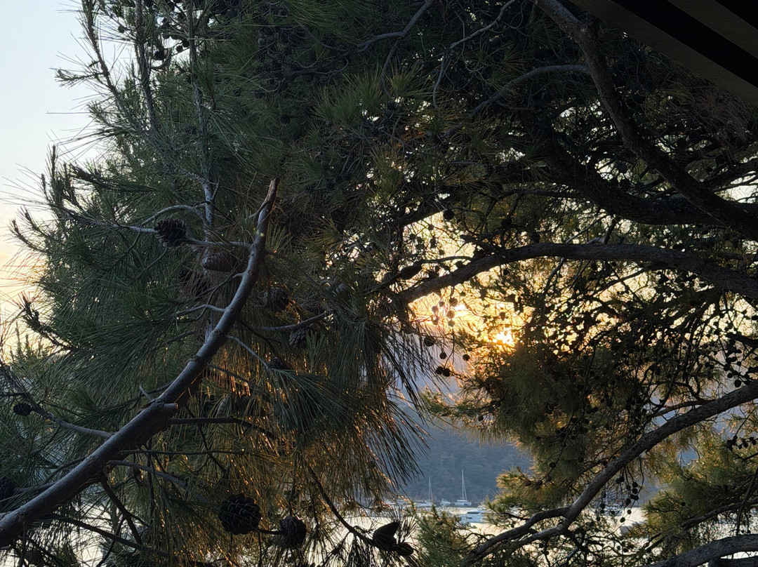Yedigoller National Park-博卢省必去景点