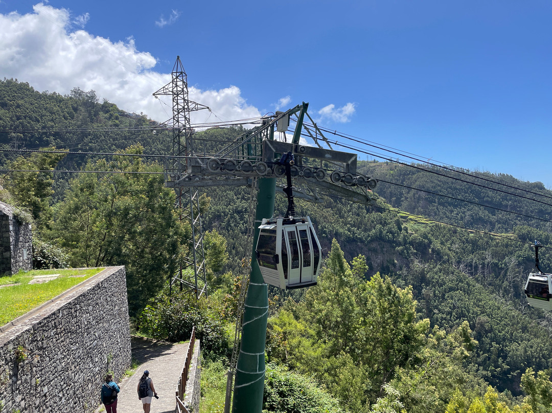 Botanical Garden Cable Car-沙尔必去景点