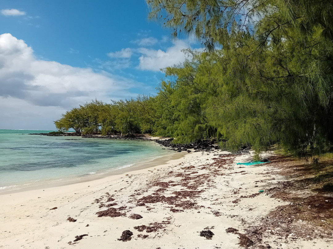 Paradisio Excursions Ile Maurice-大湾必去景点