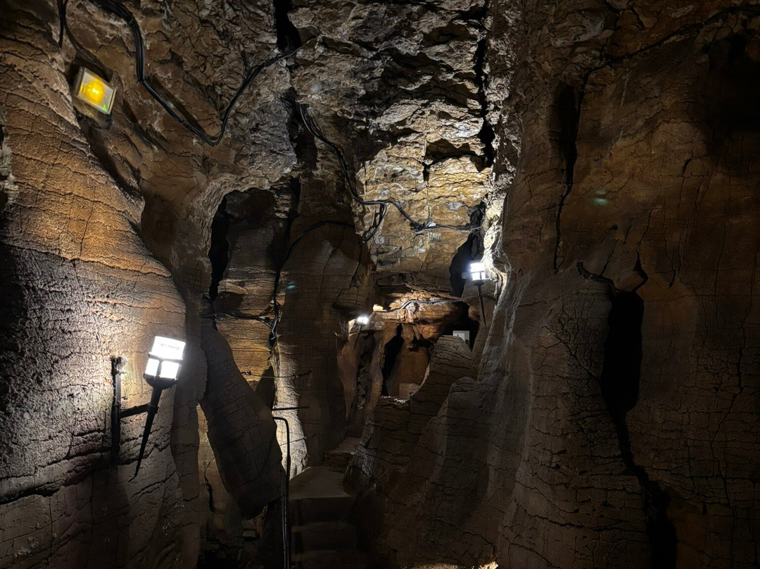Les Grottes de La Balme-La Balme-les-Grottes必去景点