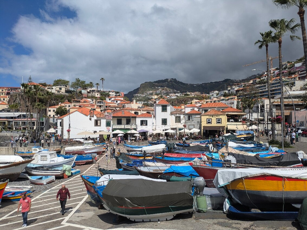 Camara Do Lobos-Camara De Lobos必去景点