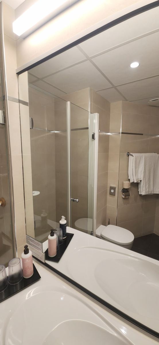 Best Western Plus Le Moderne-浴室