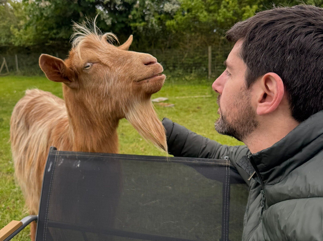 Stubbs Farm Alpacas-Loddon必去景点