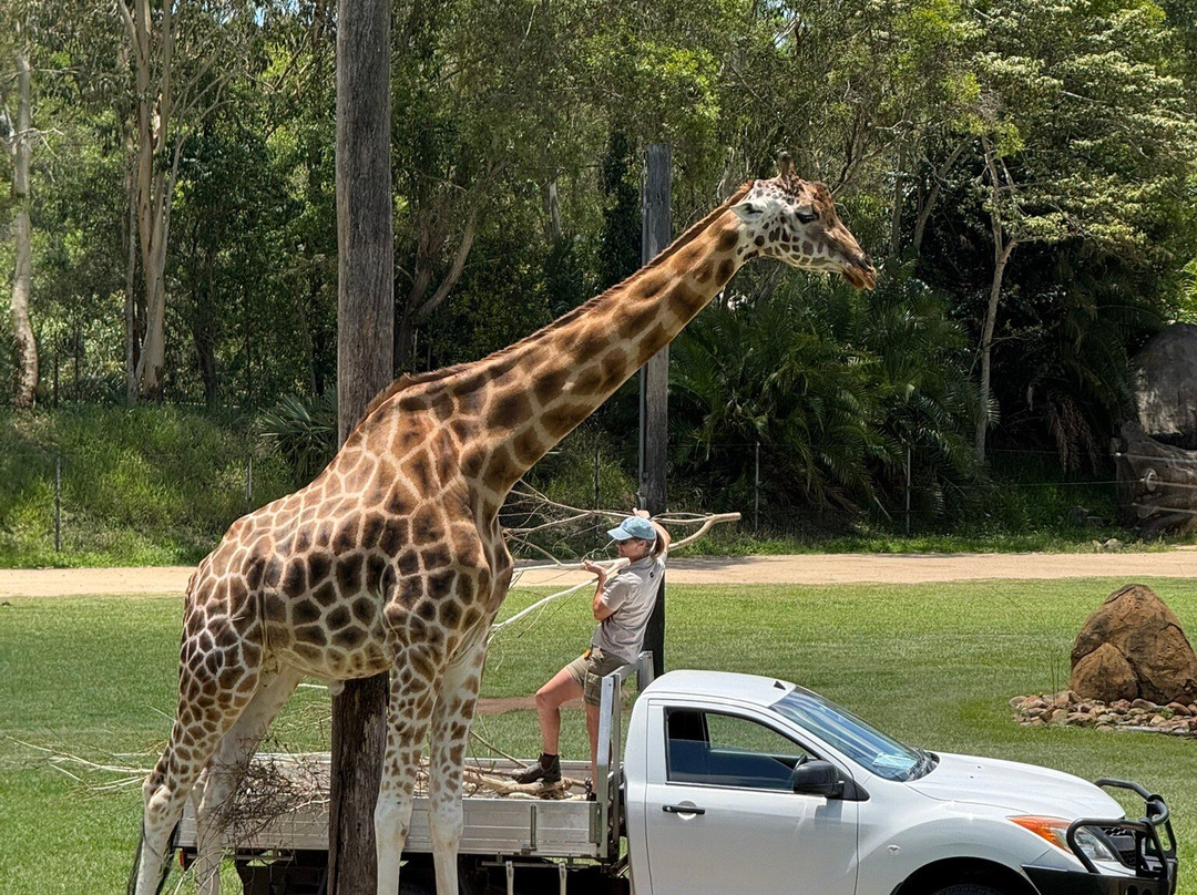 Australia Zoo-Beerwah必去景点