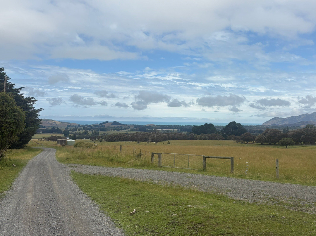 Mt Fyffe Distillery-Kaikoura必去景点