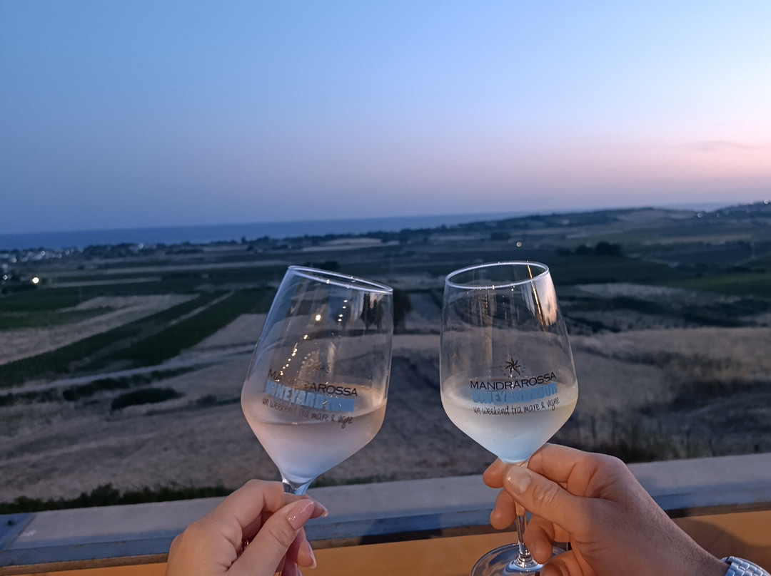 Mandrarossa Winery-Menfi必去景点