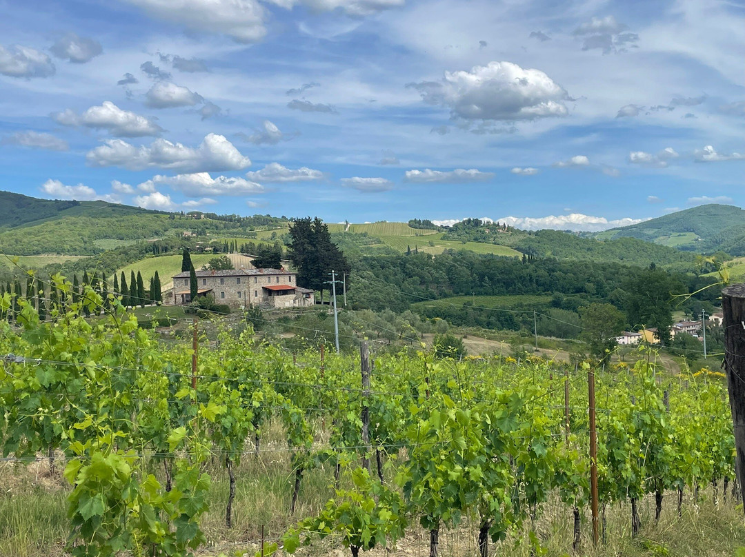 Il Molino di Grace Winery-Panzano in Chianti必去景点