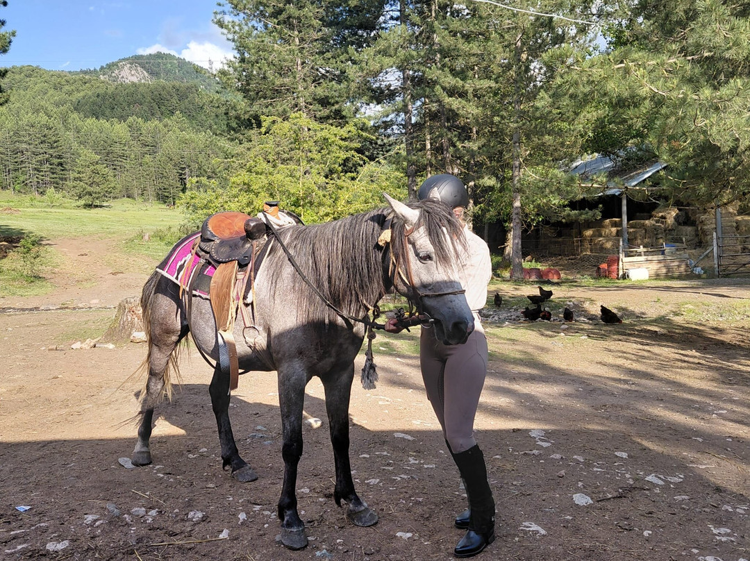 Horse Riding Albania