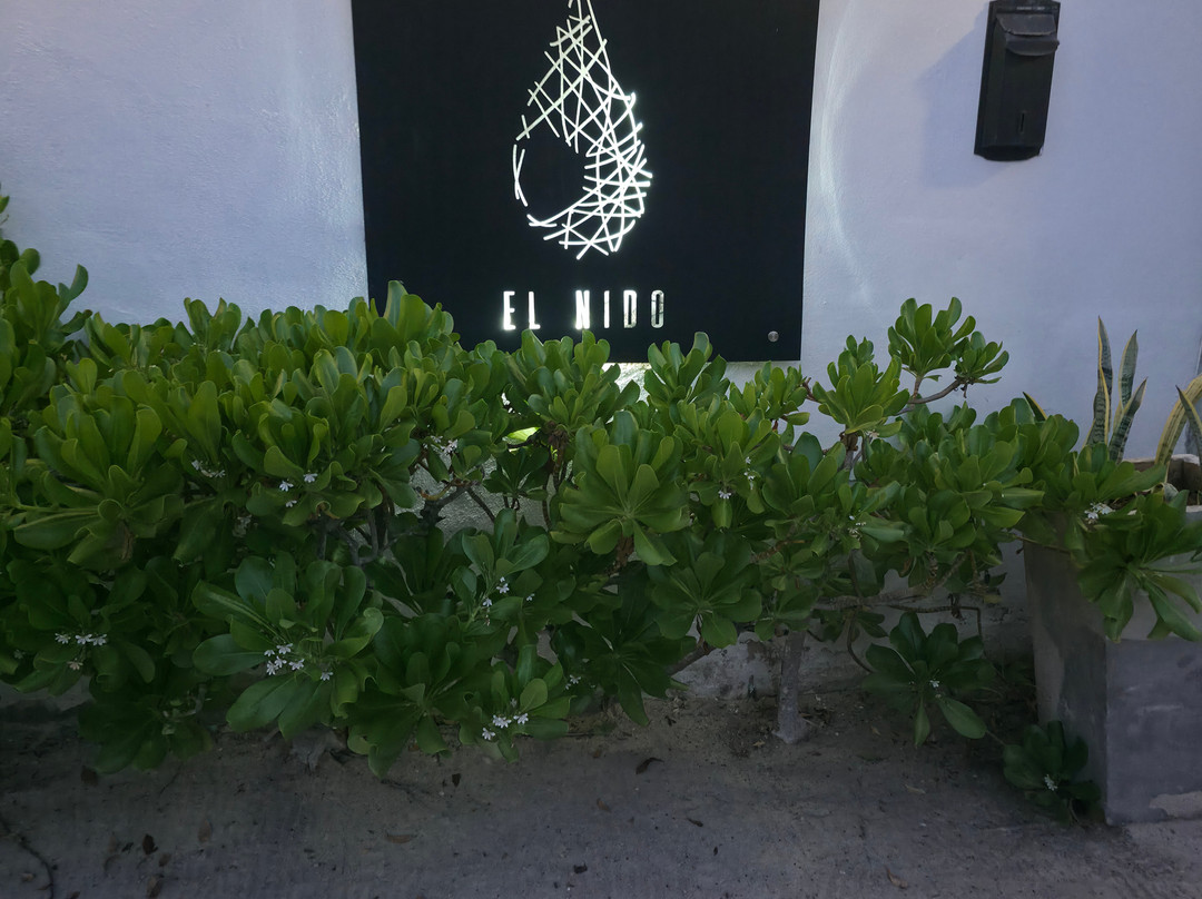 Hotel El Nido Holbox主图