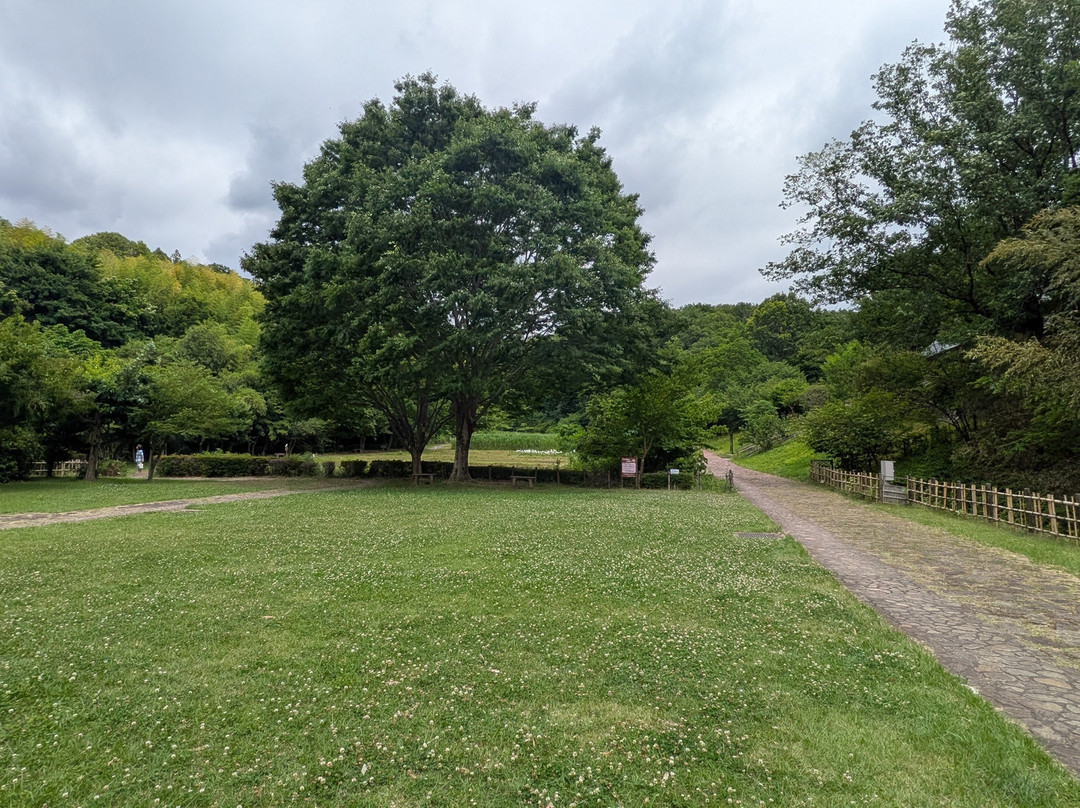 Zama Yatoyama Park-座间市必去景点