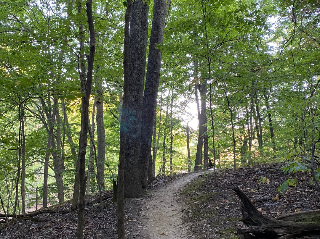 East Fork State Park-Bethel必去景点