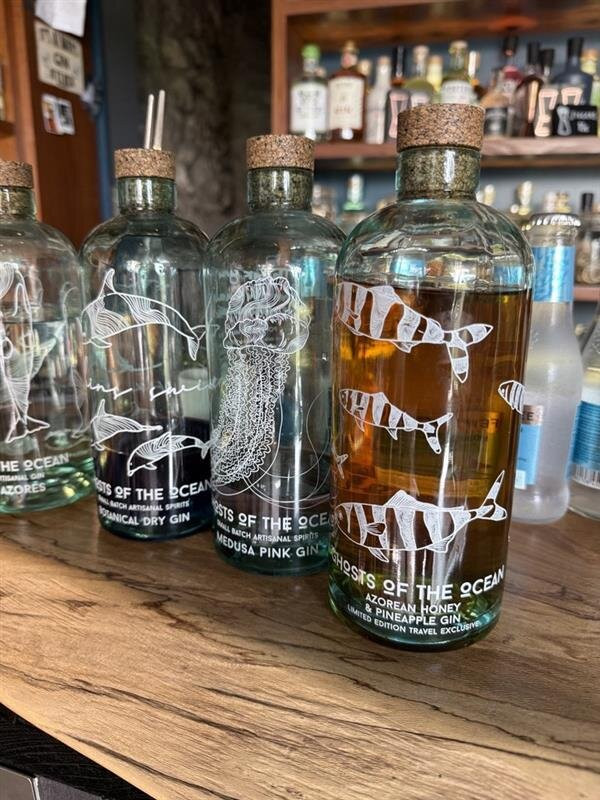 The Gin Library-蓬塔德尔加达必去景点
