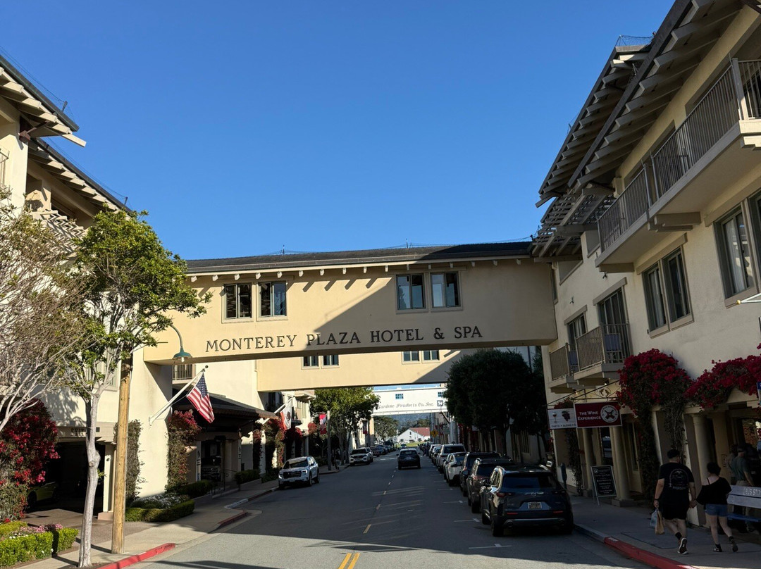 蒙特利广场酒店及水疗中心主图