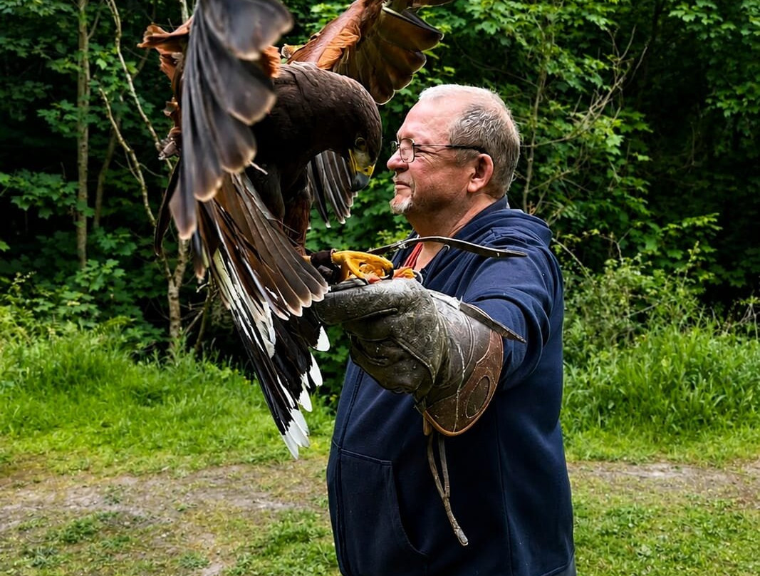 Riverside Falconry-纽卡斯尔必去景点