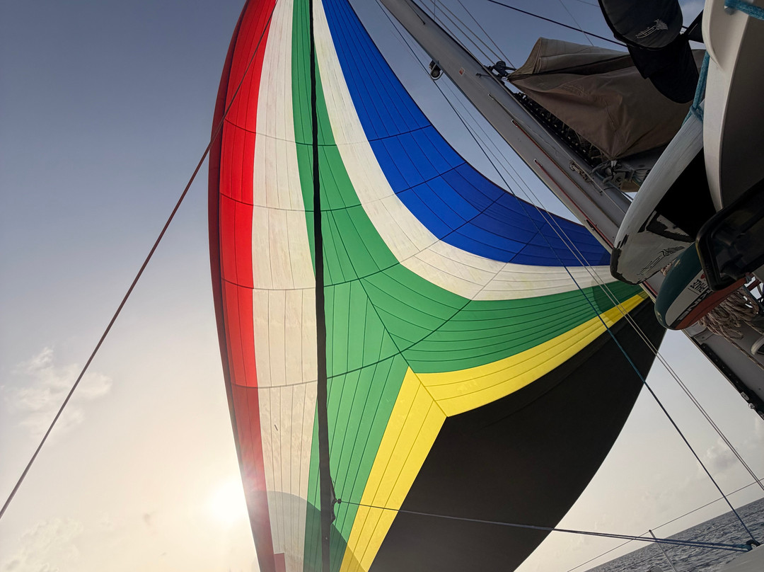 Sailabration Yachting-Dénia必去景点