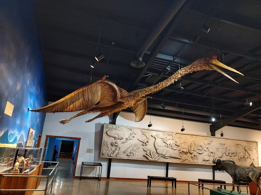 Bandera Natural History and Art Museum-Bandera必去景点