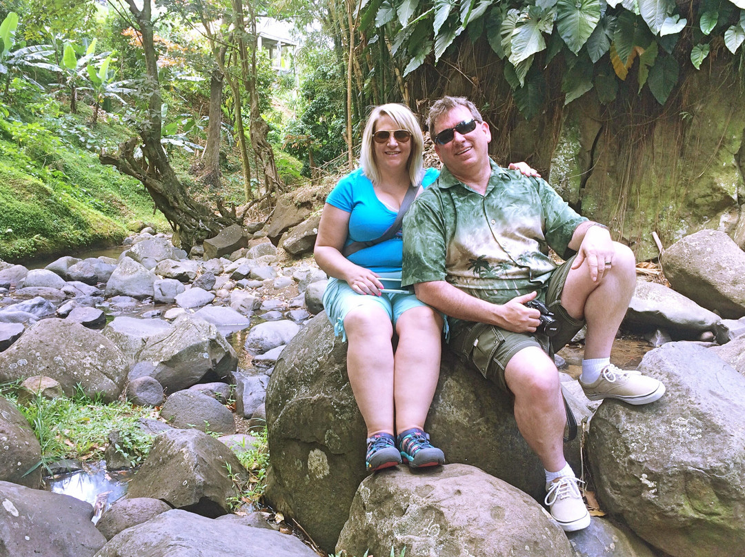 Vision Tours Grenada-St. George's必去景点