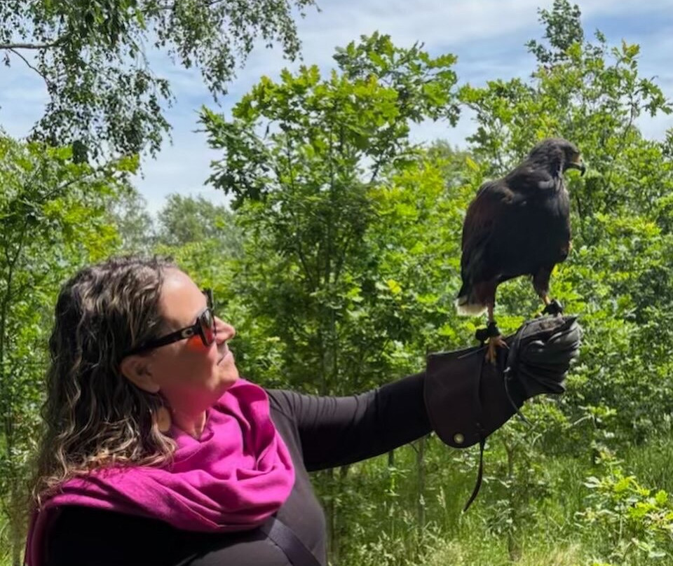 Killarney Falconry-基拉尼必去景点